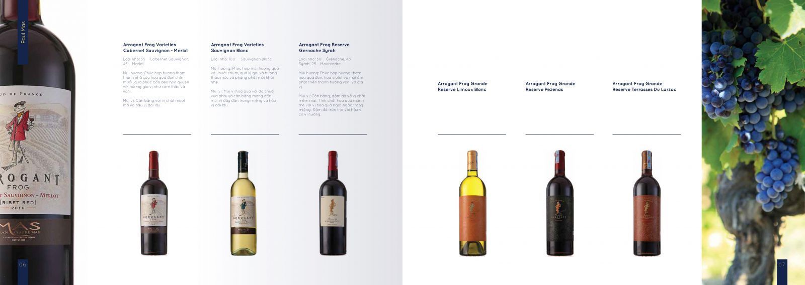 catalogue được xem là kênh truyền thông trực tiếp mang lại nhiều tác dụng to lớn cho doanh nghiệp