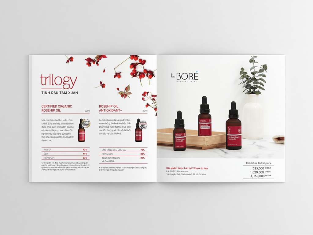 Tầm Quan Trọng Của Catalogue Sản Phẩm